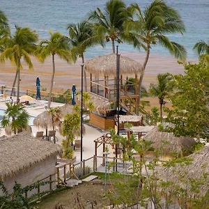 Dayana Diamond , Le Diamant Martinique